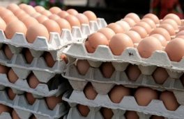 تخم مرغ گران‌تر شد/ چرا دولت جلوی گرانی تخم مرغ را نمی‌گیرد؟
